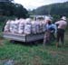 041